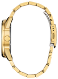 Citizen Classic Watch